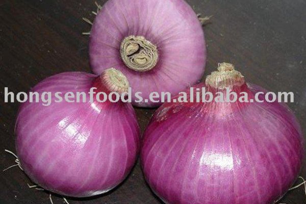Kraken onion сайта