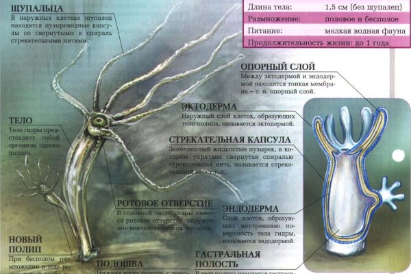 Кракен сайт krk market com